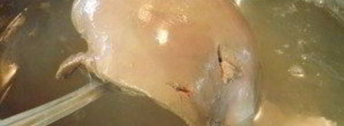 печеночный рулет. Шаг 2