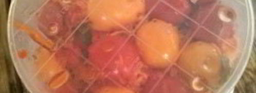 помидоры с морковкой. Шаг 8