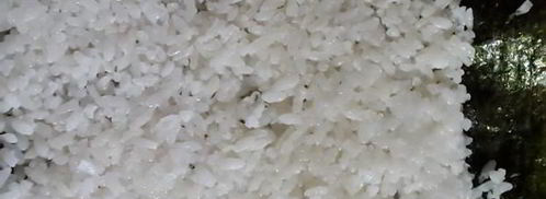 роллы home-made. Шаг 8