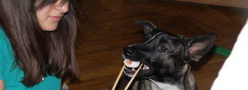 роллы viola. Шаг 2