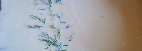 нежнейший рулет белоснежка. Шаг 6