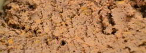 рулет из отварной печени с пикантной начинкой. Шаг 7