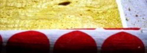 рулет к чаю. Шаг 10