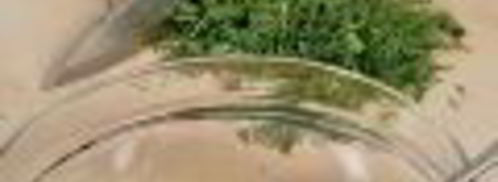 датский открытый сэндвич. Шаг 2