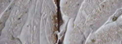 сэндвичи с яйцом. Шаг 2