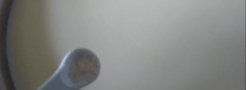 сыр фета из коровьего молока. Шаг 2