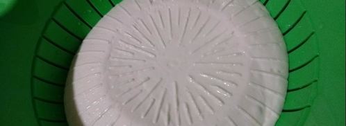 сыр фета из коровьего молока. Шаг 6