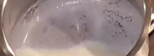 тарталетки с креветками и соусом бешамель. Шаг 6