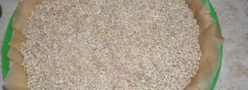 мандариновый тарт. Шаг 4