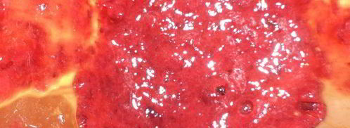 тарт с клюквенно-яблочной начинкой. Шаг 3