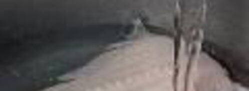 заливное из судака. Шаг 2