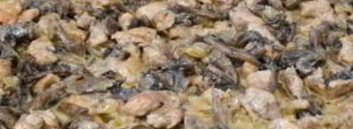 жульен в съедобных кокотницах. Шаг 7